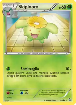 Skiploom