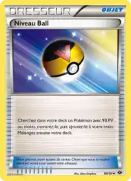 Niveau Ball