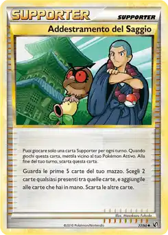 Addestramento del Saggio