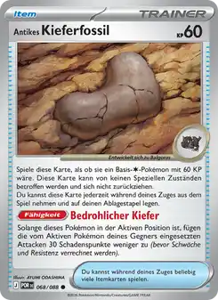 Antikes Kieferfossil