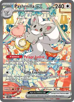 Pashmilla-ex