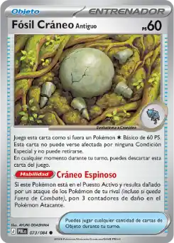 Fósil Cráneo Antiguo