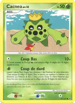 Cacnea