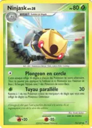 Ninjask