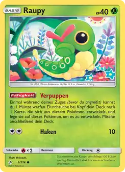 Raupy