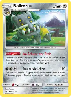 Bollterus