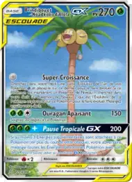 Brindibou et Noadkoko d’Alola GX