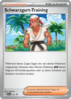Schwarzgurt-Training
