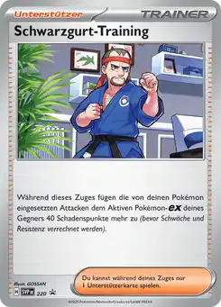 Schwarzgurt-Training