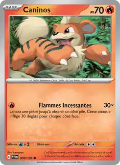 Caninos