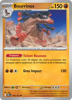 Bourrinos