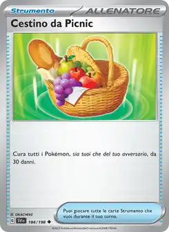 Cestino da Picnic
