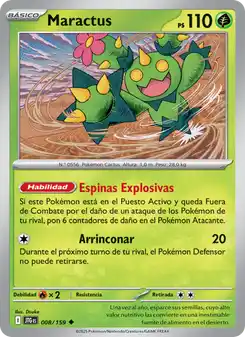 Maractus