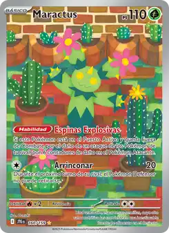Maractus
