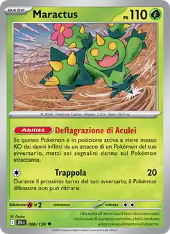 Maractus