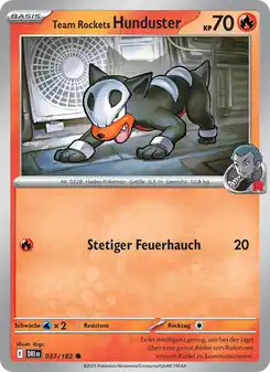 Team Rockets Hunduster