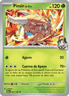 Pinsir de Eco