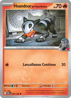 Houndour del Team Rocket