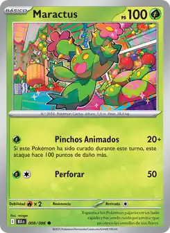 Maractus