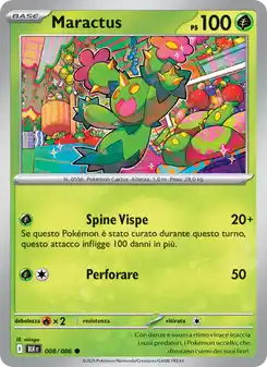 Maractus