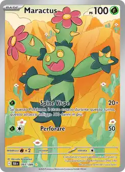 Maractus