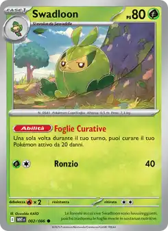 Swadloon