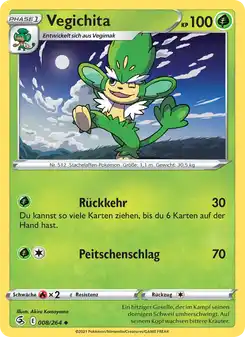 Vegichita
