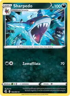Sharpedo