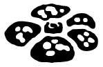 Jungla symbol