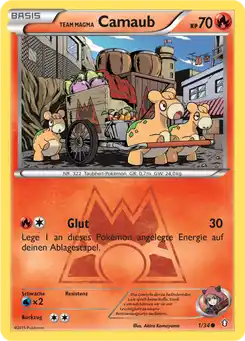Team Magma Camaub