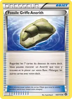 Fossile Griffe Anorith