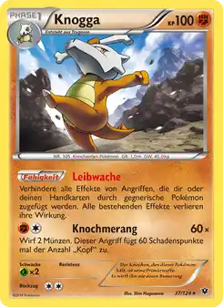 Knogga