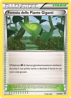Foresta delle Piante Giganti