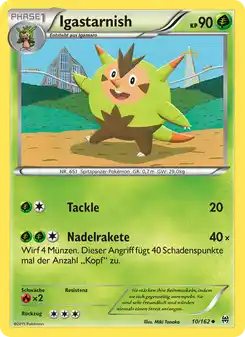 Igastarnish