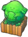 Arbuste Leveinard