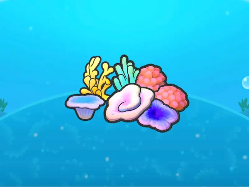 Coral congregation