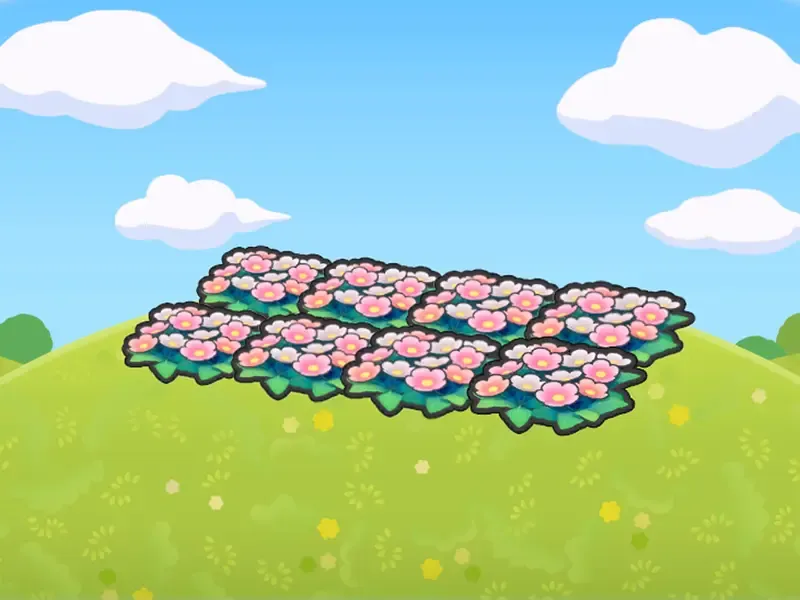 Champ de fleurs