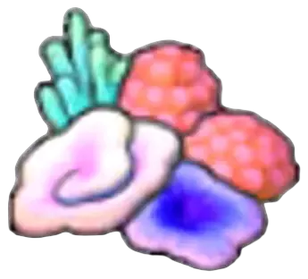 Coraux multicolores