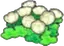 Fleurs de Flotiles