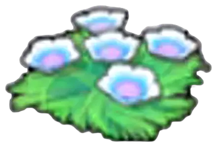Fleurs des fonds marins