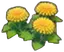 Fleurs paisibles