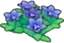 Fleurs splendides