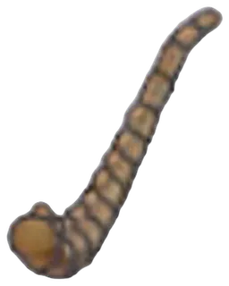 Fossile Aile (queue)