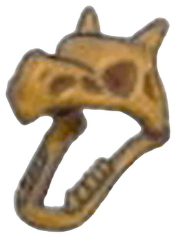 Fossile Aile (tête)