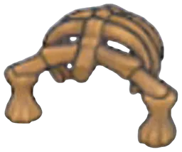 Fossile Bouclier (tronc)