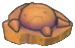 Fossile Crâne