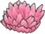 Herbe Rose