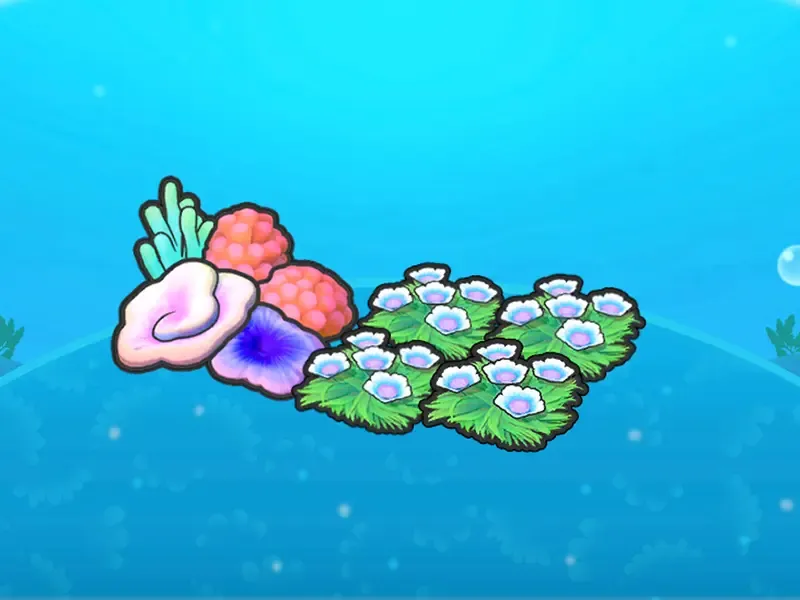 Swaying flower bed and coral