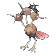 Dodrio