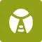 Type Insecte